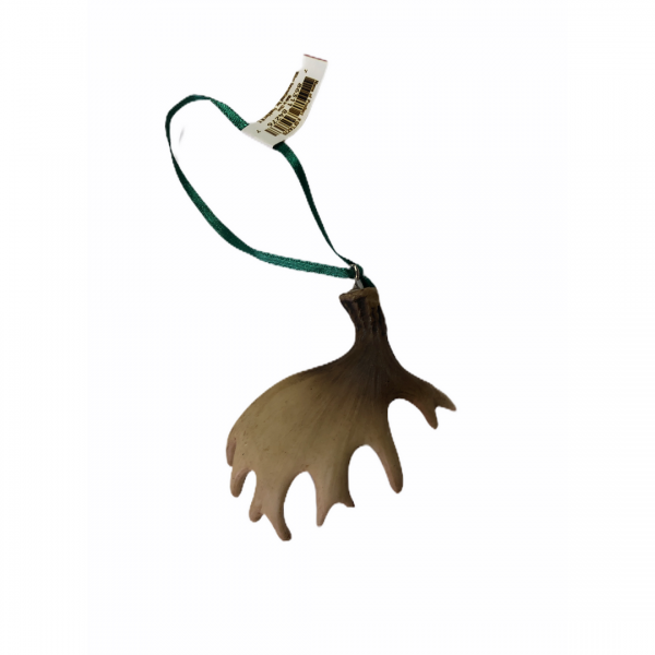 Moose Antler Ornament