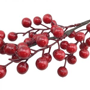 Goose Berry Pick