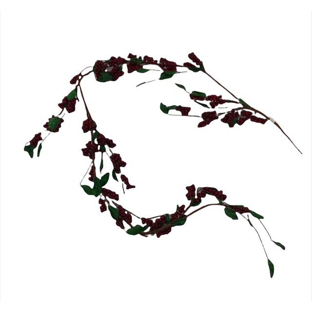 Gooseberry Vine