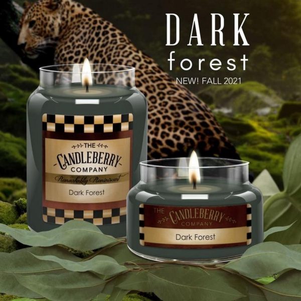 Dark Forest™ - Candleberry Candle Company - 10oz (SMALL JAR)