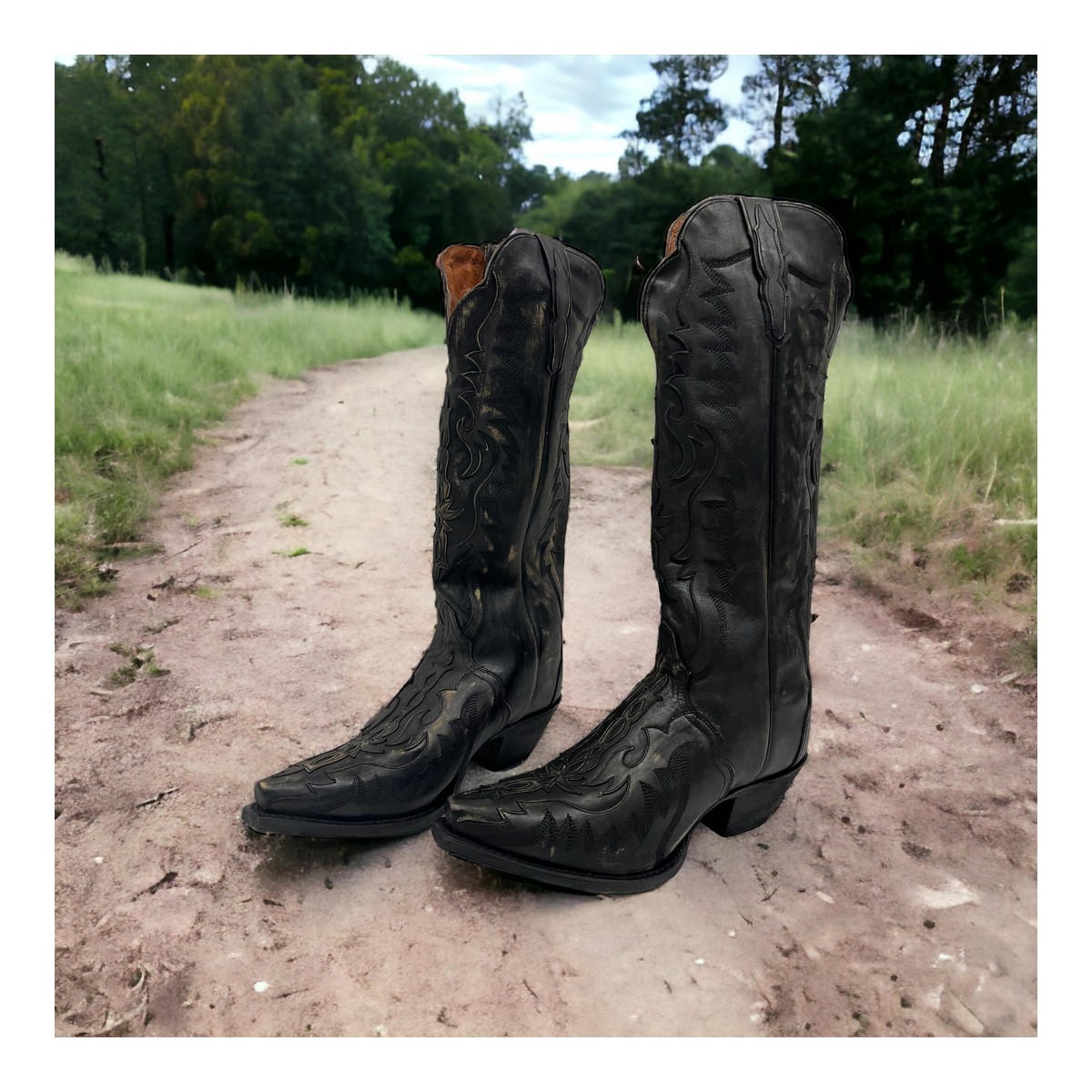 Dan Post Hallie Distressed Leather j