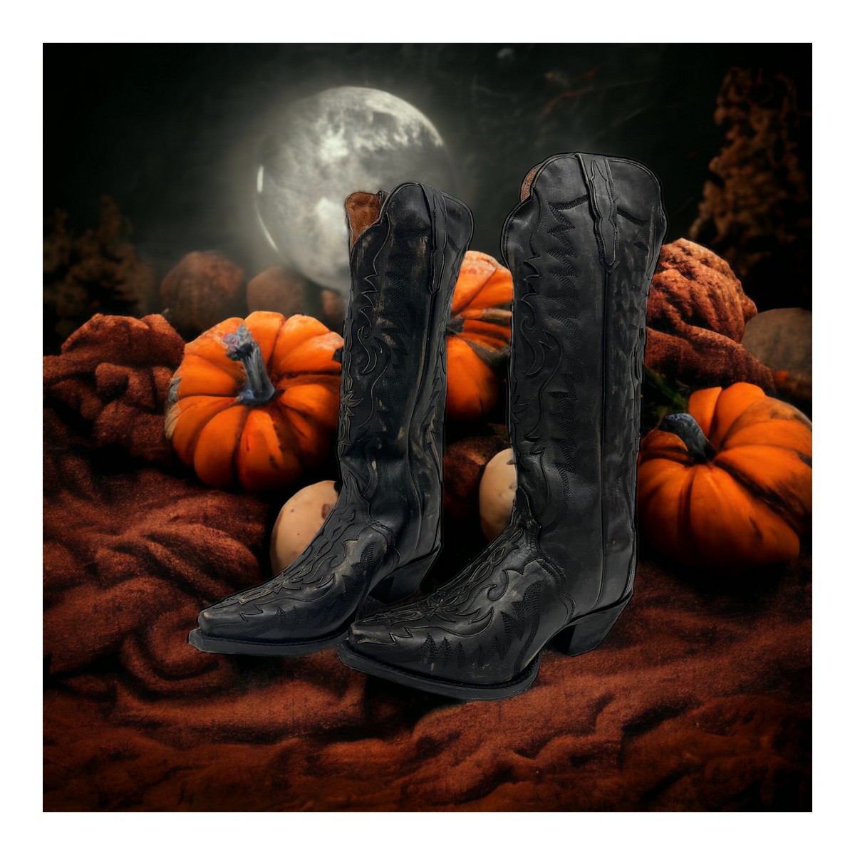 Dan Post Hallie Distressed Leather k